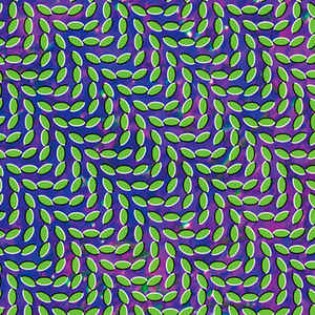 Animal Collective