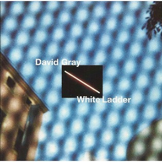 David Gray