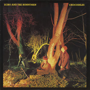 Echo and The Bunnymen