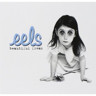 Eels