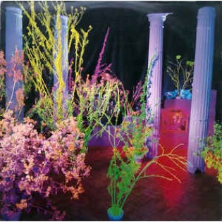 Hüsker Dü
