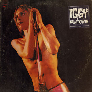 Iggy and The Stooges