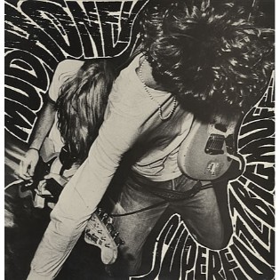 Mudhoney