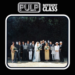Pulp