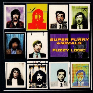Super Furry Animals
