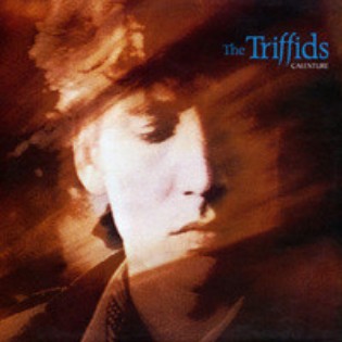 The Triffids