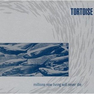 Tortoise